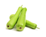 Bottle Gourd (సొరకాయ)