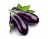 Brinjal (వంకాయ)