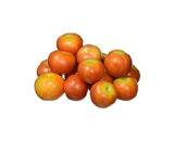 Tomato (టమోటా)