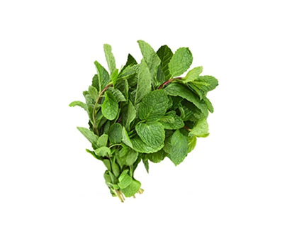 Mint Leaves  ( పుదీనా ఆకులు )