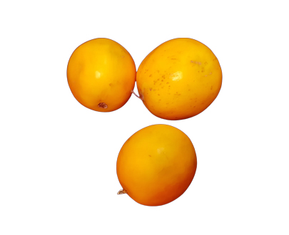 Dosakaya / Yellow Cucumber (Round)