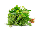 Fresh thotakura amaranthus leaves – green leafy vegetable