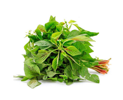 Fresh thotakura amaranthus leaves – green leafy vegetable